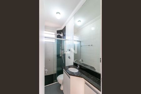 Banheiro de apartamento para alugar com 2 quartos, 55m² em Camargos, Belo Horizonte