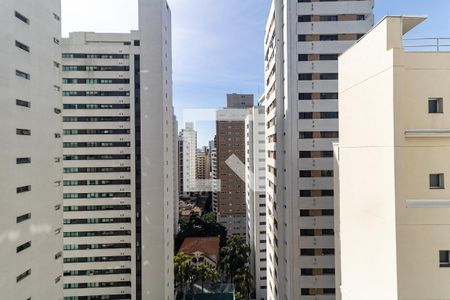 Apartamento para alugar com 180m², 4 quartos e 3 vagasVista da Lavanderia
