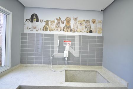 Apartamento para alugar com 32m², 2 quartos e sem vagaEspaço Pet