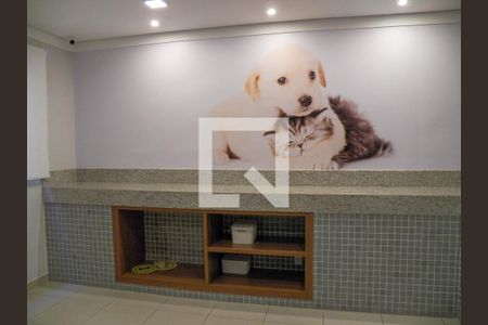 Apartamento para alugar com 39m², 2 quartos e sem vaga Apartamento para alugar com 39m², 2 quartos e sem vagaPet Care