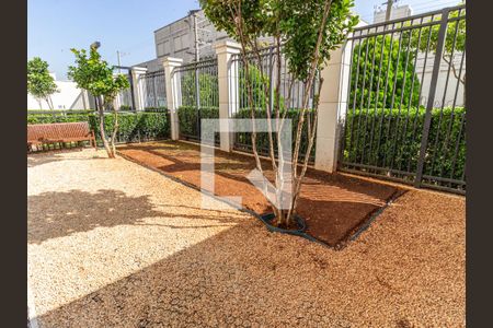 Apartamento para alugar com 37m², 1 quarto e 1 vaga Apartamento para alugar com 37m², 1 quarto e 1 vagaÁrea comum - Espaço Pet