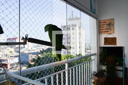 Apartamento à venda com 96m², 3 quartos e 2 vagasSacada