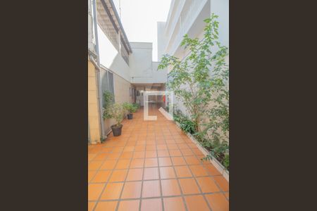 Área Externa de casa para alugar com 3 quartos, 250m² em Vila Formosa, São Paulo