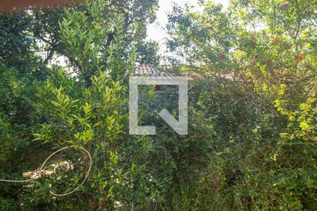 Apartamento para alugar com 50m², 2 quartos e 1 vagaVista do Quarto 2