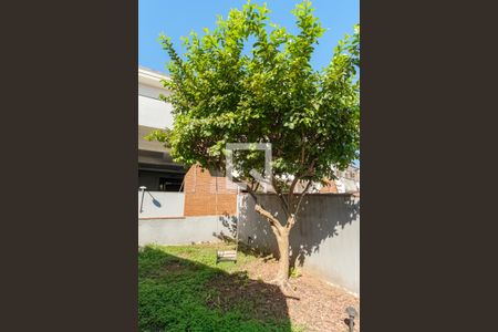 Casa à venda com 360m², 3 quartos e 6 vagasJardim