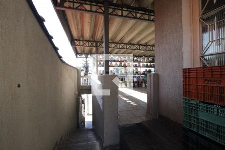 Casa à venda com 300m², 5 quartos e 3 vagasQuintal