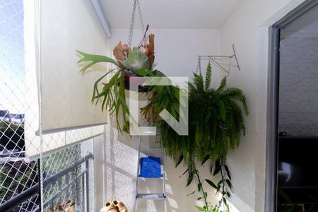 Sacada de apartamento para alugar com 3 quartos, 60m² em Vila Prudente, São Paulo