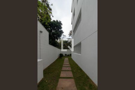 Apartamento para alugar com 29m², 1 quarto e 1 vagaPet Place