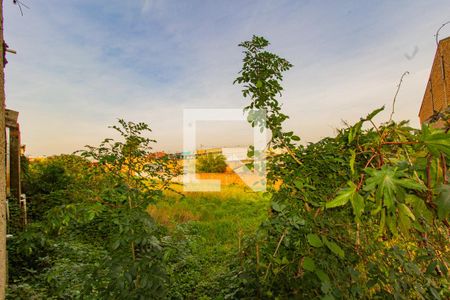 Casa à venda com 150m², 3 quartos e 1 vagaVista da Cozinha