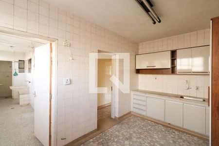 Cozinha de apartamento para alugar com 4 quartos, 222m² em Santo Antônio, São Caetano do Sul