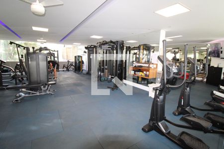 Apartamento à venda com 115m², 3 quartos e 2 vagasÁrea comum - Academia