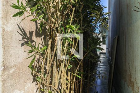 Casa de condomínio à venda com 250m², 3 quartos e 4 vagasÁrea externa