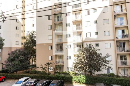 Apartamento para alugar com 61m², 2 quartos e 1 vaga Apartamento para alugar com 61m², 2 quartos e 1 vagaVista do Quarto 2