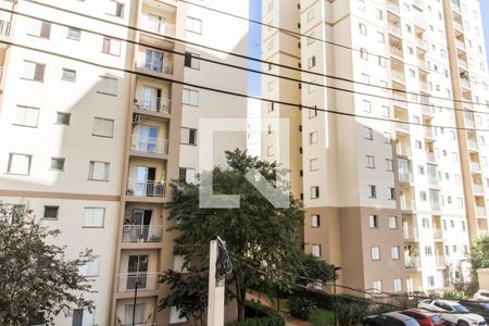 Apartamento para alugar com 61m², 2 quartos e 1 vaga Apartamento para alugar com 61m², 2 quartos e 1 vagaVista do Quarto 2