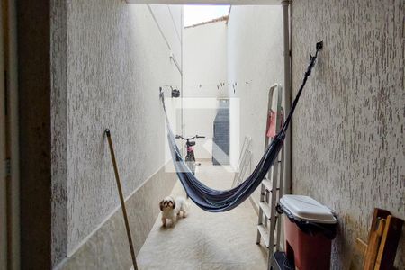 Quintal de casa de condomínio para alugar com 2 quartos, 58m² em Vilamar, Praia Grande
