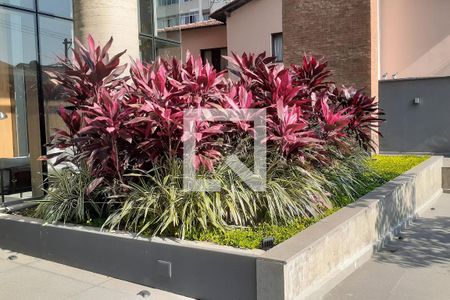 Apartamento à venda com 115m², 2 quartos e 1 vagaJardim frontal