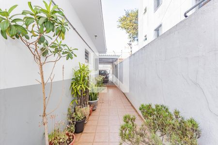 Casa à venda com 410m², 4 quartos e 5 vagasQuintal/Jardim