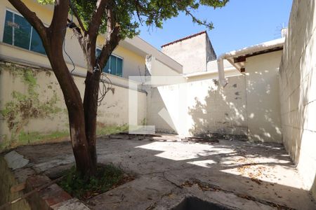 Casa para alugar com 135m², 3 quartos e 4 vagasQuintal 2