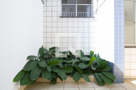 Apartamento para alugar com 156m², 3 quartos e 2 vagasJardim