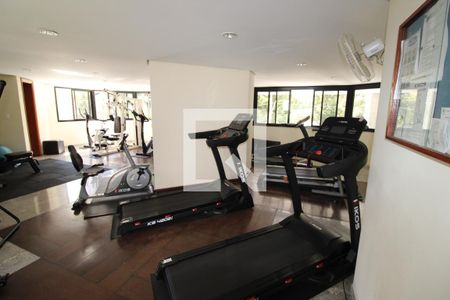 Apartamento à venda com 230m², 3 quartos e 4 vagasÁrea comum - Academia