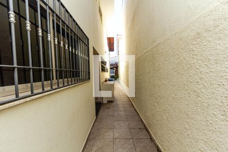 Quintal Corredor de casa à venda com 4 quartos, 400m² em Planalto Paulista , São Paulo