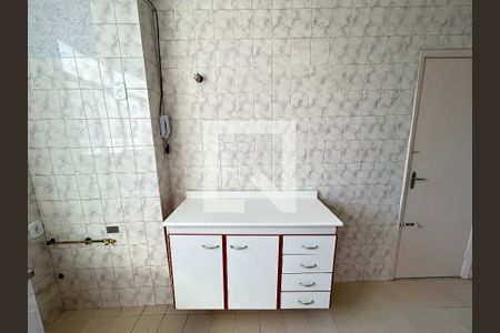 Apartamento para alugar com 50m², 2 quartos e 1 vagaCozinha - Armários