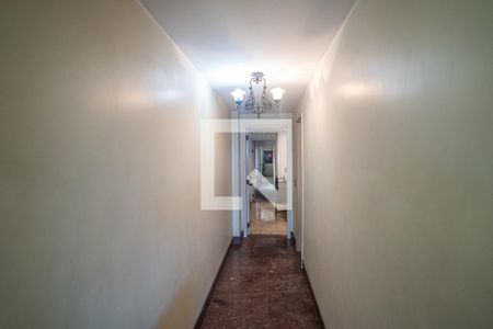 Apartamento à venda com 319m², 3 quartos e 1 vagaCorredor