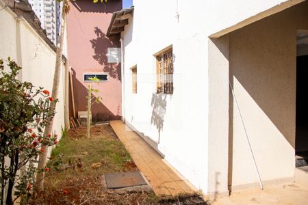 Casa para alugar com 300m², 3 quartos e 5 vagas Casa para alugar com 300m², 3 quartos e 5 vagasQuintal