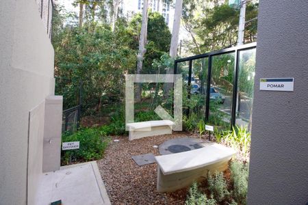 Área comum - Pomar de apartamento para alugar com 2 quartos, 49m² em Vila Suzana, São Paulo