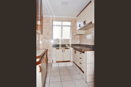 Apartamento para alugar com 47m², 2 quartos e 1 vagaCozinha - Armário