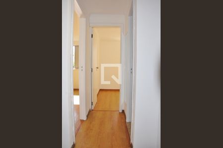 Corredor - Quartos de apartamento para alugar com 2 quartos, 47m² em Vila Nova Cachoeirinha, São Paulo