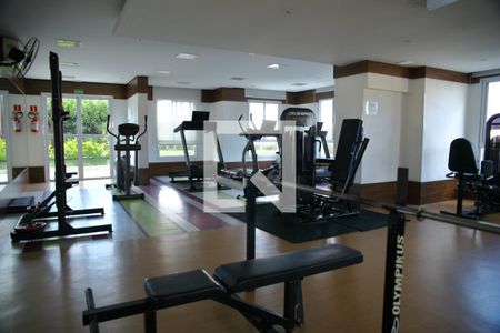 Apartamento para alugar com 54m², 2 quartos e 1 vagaÁrea comum - Academia