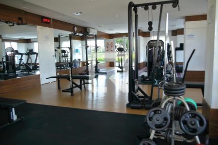 Apartamento para alugar com 54m², 2 quartos e 1 vagaÁrea comum - Academia