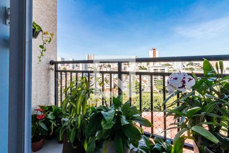 Varanda de apartamento para alugar com 2 quartos, 43m² em Jardim América da Penha, São Paulo