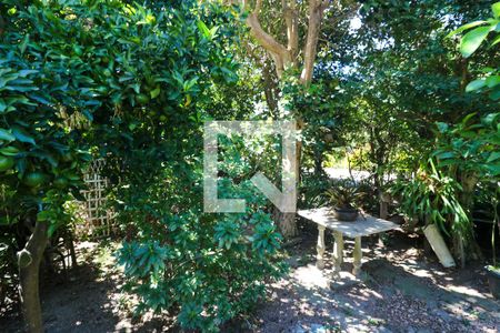 Casa para alugar com 220m², 4 quartos e 2 vagasQuintal