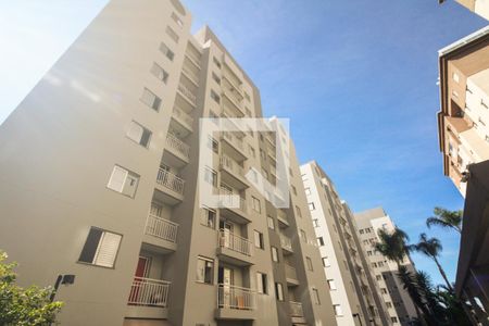 Condomínio - Fachada  de apartamento para alugar com 2 quartos, 47m² em Vila Carrao, São Paulo