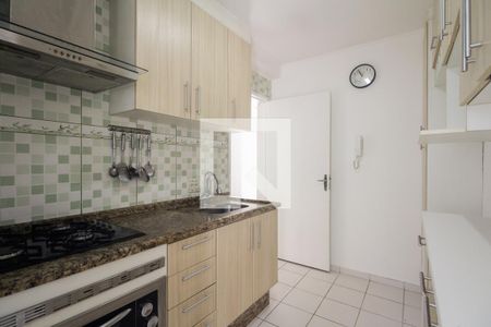 Cozinha  de apartamento para alugar com 2 quartos, 47m² em Vila Carrao, São Paulo
