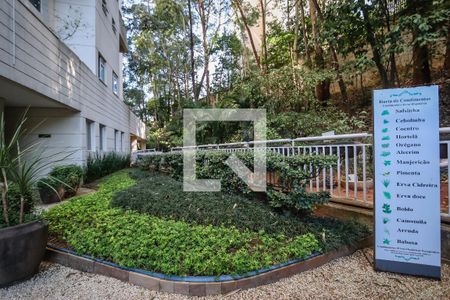 Apartamento para alugar com 48m², 1 quarto e 1 vagaHorta