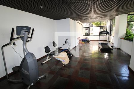 Apartamento à venda com 256m², 4 quartos e 3 vagasÁrea comum - Academia