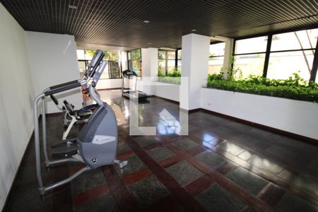 Apartamento à venda com 256m², 4 quartos e 3 vagasÁrea comum - Academia