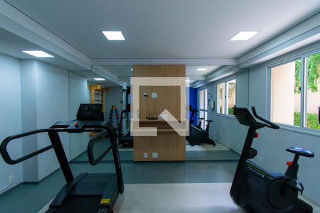 Apartamento à venda com 34m², 1 quarto e sem vagaÁrea comum - Academia