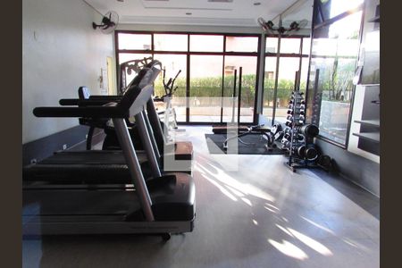 Apartamento à venda com 280m², 4 quartos e 4 vagasÁrea comum - Academia