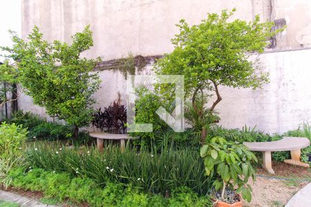 Apartamento para alugar com 31m², 1 quarto e sem vagaÁrea Pet