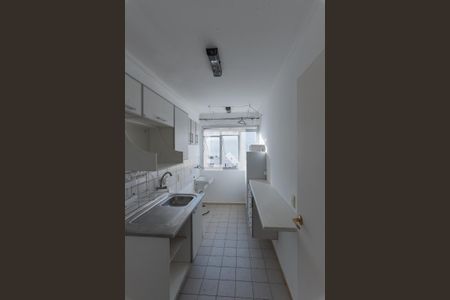 Cozinha de apartamento para alugar com 2 quartos, 48m² em Jardim Dom Vieira, Campinas