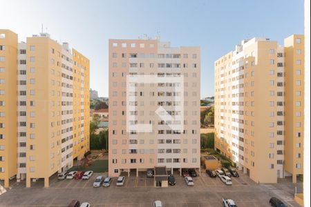 Vista do Quarto 2 de apartamento para alugar com 2 quartos, 48m² em Jardim Dom Vieira, Campinas