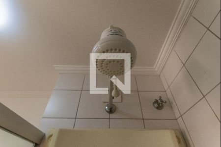 Banheiro de apartamento para alugar com 2 quartos, 48m² em Jardim Dom Vieira, Campinas