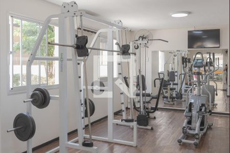 Área comum - Academia de apartamento para alugar com 2 quartos, 48m² em Jardim Dom Vieira, Campinas