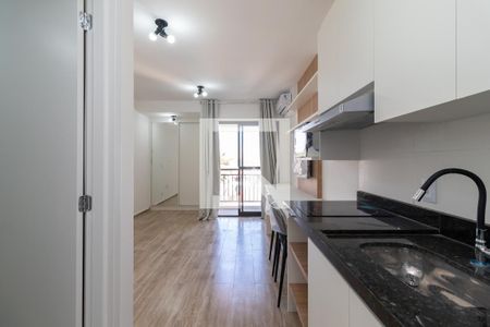 Apartamento à venda com 25m², 1 quarto e sem vagaCozinha