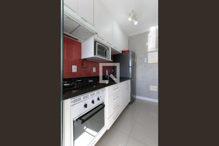 Apartamento à venda com 47m², 2 quartos e 1 vagaCozinha - Armários