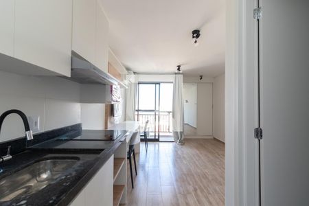 Apartamento para alugar com 25m², 1 quarto e sem vagaCozinha